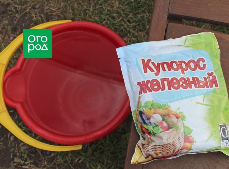 Подготовка парника к сезону – не откладывайте до весны! 
