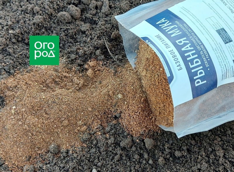 Рыбная мука – польза и применение на огороде 