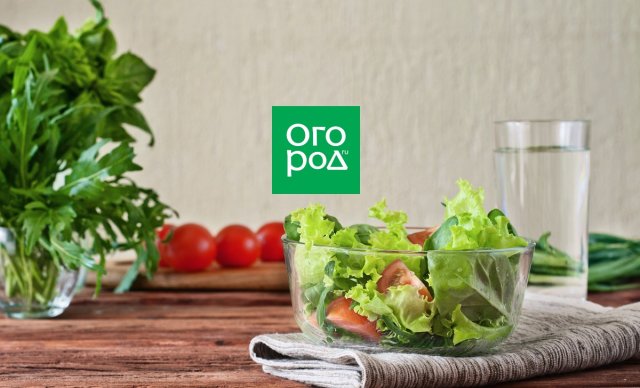 Салат, окрошка, пицца – что еще можно приготовить из остатков дачных продуктов 