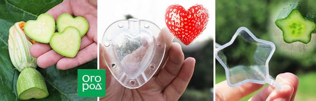 Шапочки для капусты и еще 6 странных товаров для дачи 