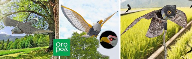 Шапочки для капусты и еще 6 странных товаров для дачи 