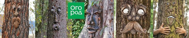 Шапочки для капусты и еще 6 странных товаров для дачи 