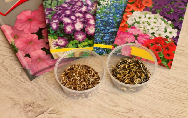 Совместные закупки семян – выгода или лишние хлопоты?