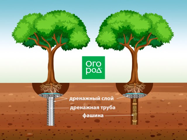 Точечный дренаж на участке – что это такое и зачем устанавливать 