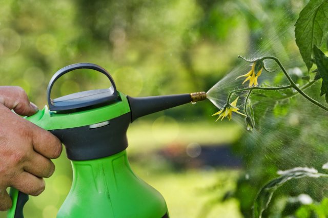 Топ ошибок при использовании народных средств в качестве подкормок