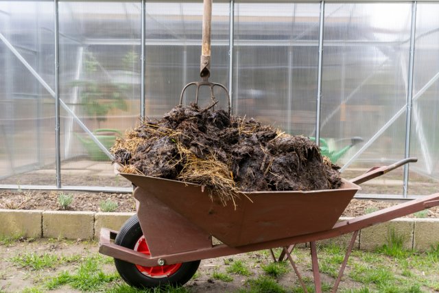 Топ ошибок при использовании народных средств в качестве подкормок