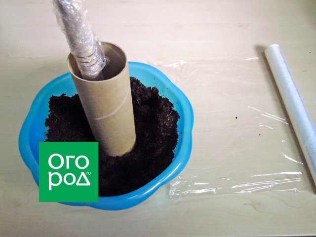 Торфяные таблетки дороги? Делаем их своими руками 