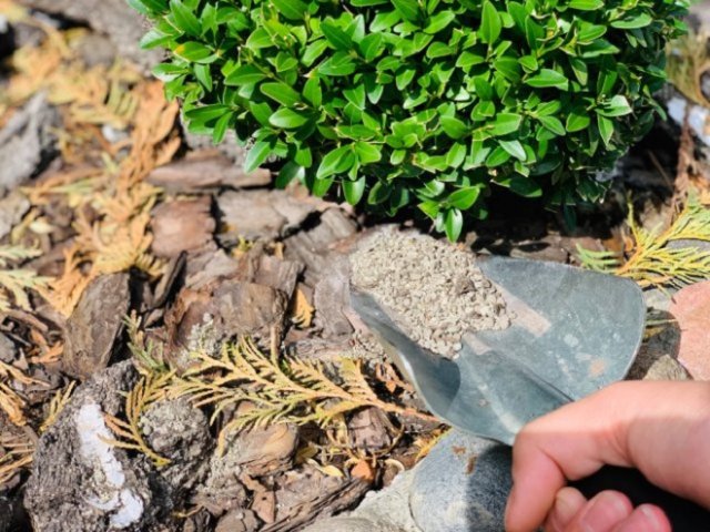 Удобрения длительного действия: минусы и плюсы, как применять 