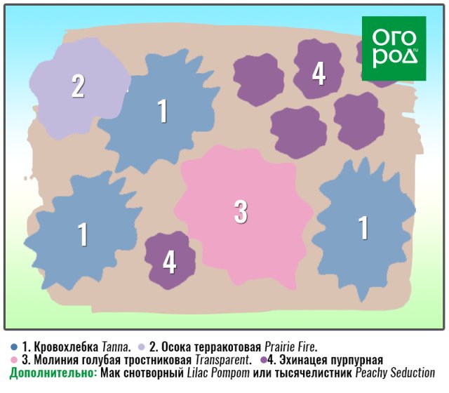 Ваш лучший цветник: 6 схем для разных условий 