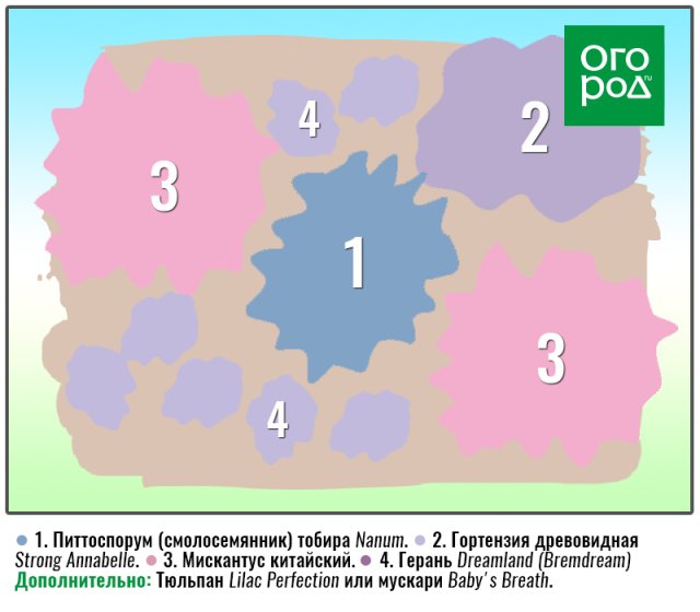 Ваш лучший цветник: 6 схем для разных условий 