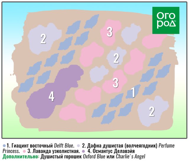 Ваш лучший цветник: 6 схем для разных условий 