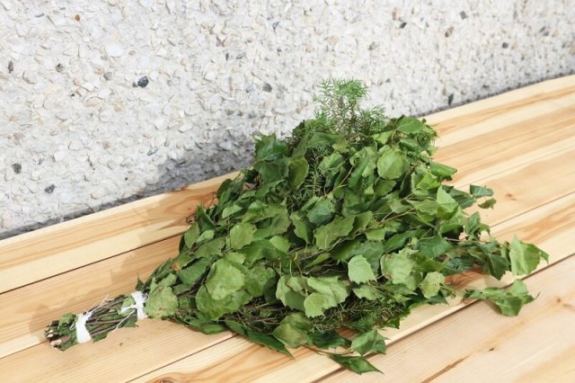 Веники для бани: 10 самых полезных вариантов 