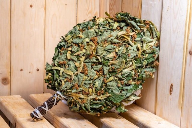 Веники для бани: 10 самых полезных вариантов 