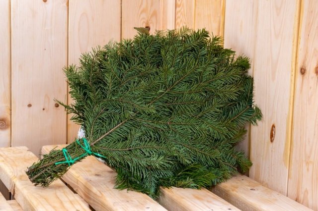 Веники для бани: 10 самых полезных вариантов 