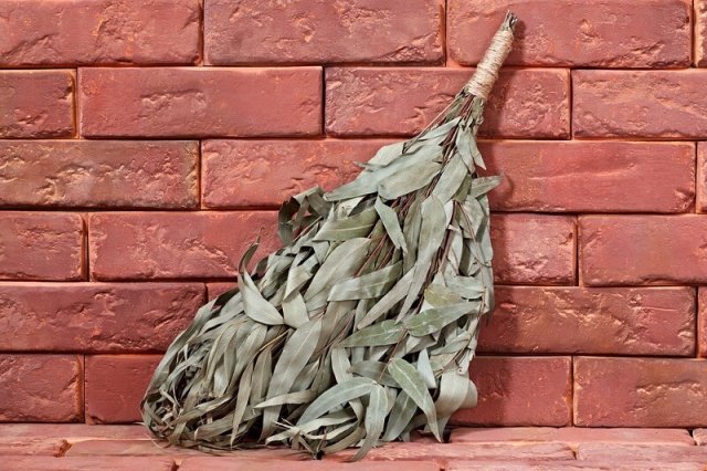 Веники для бани: 10 самых полезных вариантов 