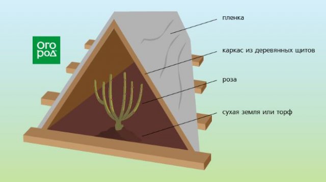 Воздушно-сухое укрытие для роз: материал, схемы, сроки установки 