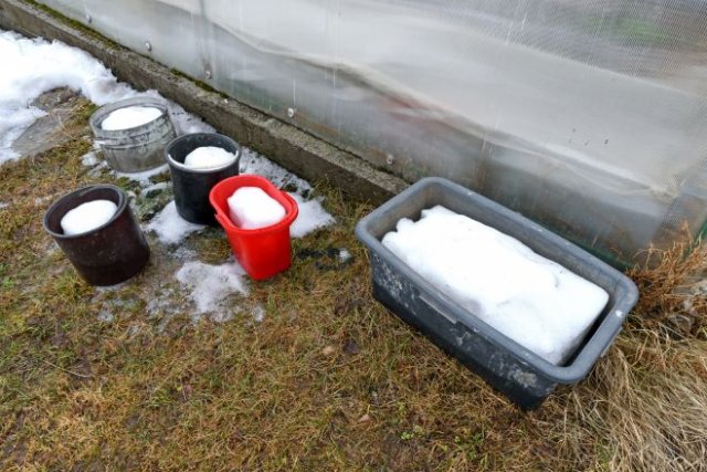 Зачем поливать рассаду талой и дождевой водой 