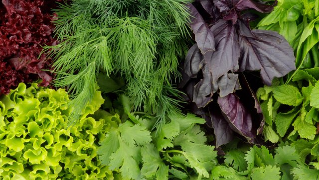 Зима близко – 10 продуктов на страже вашего здоровья 